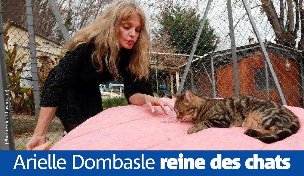 Arielle Dombasle reine des chats